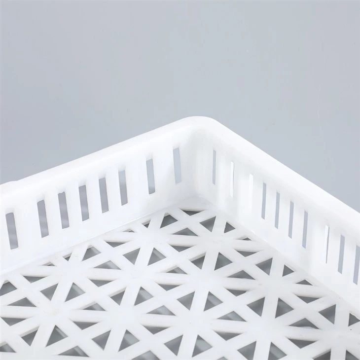 White Plastic Drying Tray/Rack China Suppliers