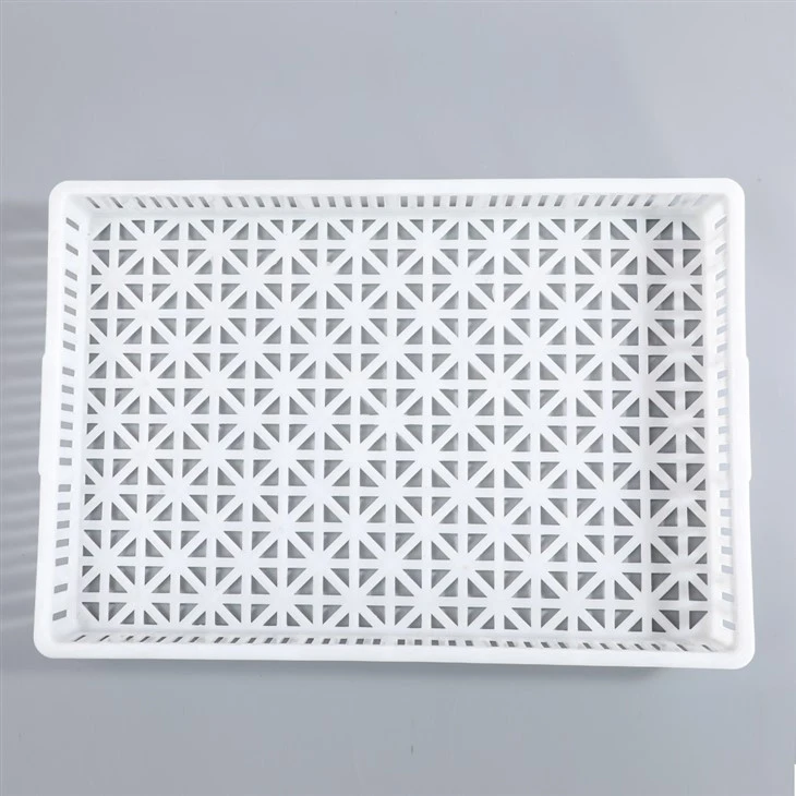 Wholesale Price White Plastic Drying Tray/Rack
